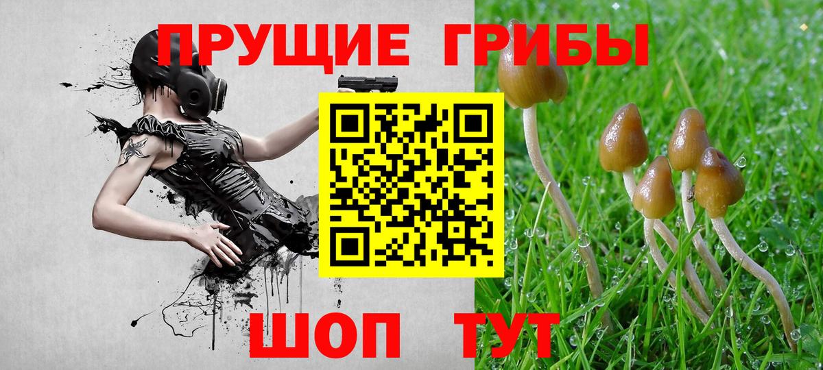 Галлюциногенные грибы мицелий  Вход с VPN  Северобайкальск 